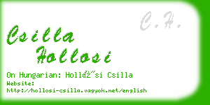 csilla hollosi business card
